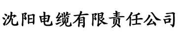 青青久久香蕉网电缆厂logo